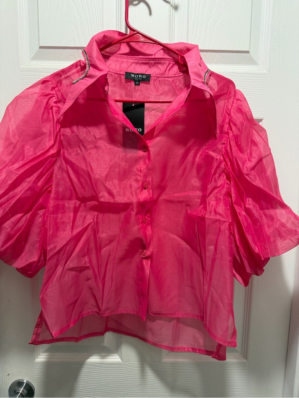 Pink Sheer Button-Front Puff Sleeve Top